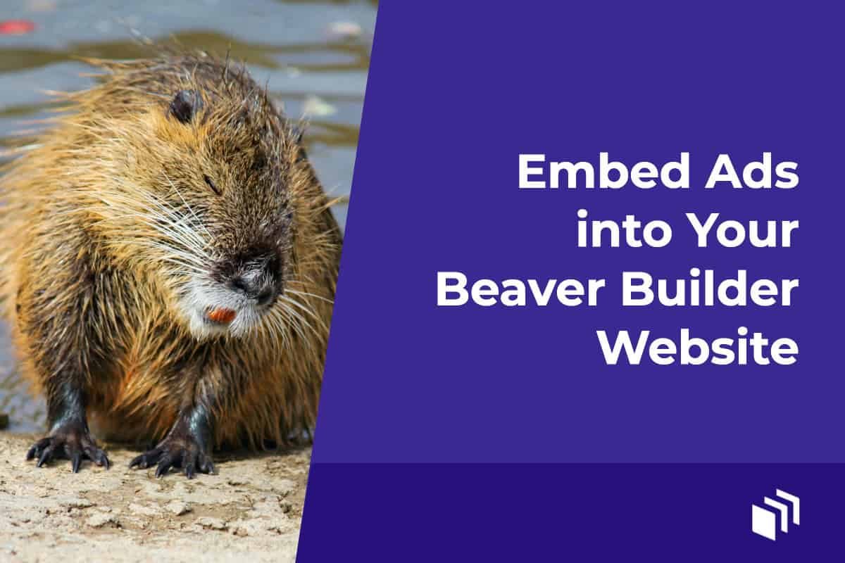 Embed Ads into Your Beaver Builder Website